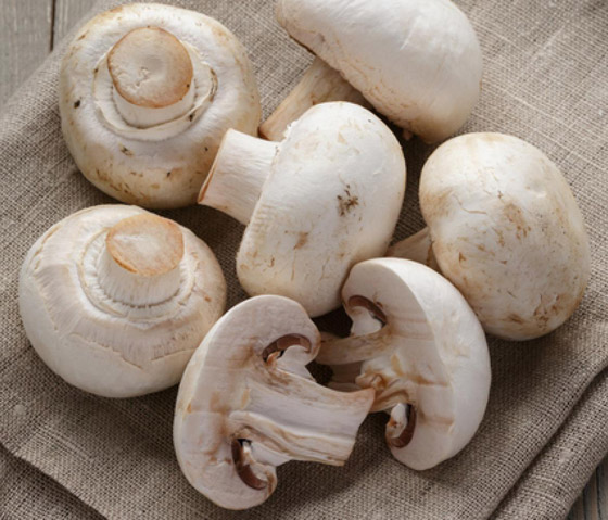 بشرى سارة للوقاية من مرض خطير: تناول الفطر (الماشروم) يحمي بشكل أكيد من مرض السرطان صورة رقم 2