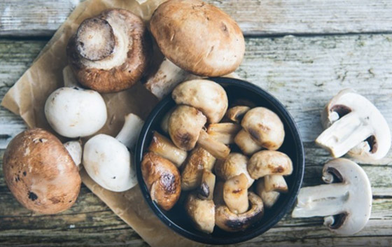بشرى سارة للوقاية من مرض خطير: تناول الفطر (الماشروم) يحمي بشكل أكيد من مرض السرطان صورة رقم 7