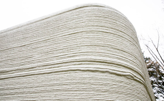 فيديو وصور: زوجان ينتقلان لأول منزل مطبوع ثلاثي الأبعاد بالكامل صورة رقم 3