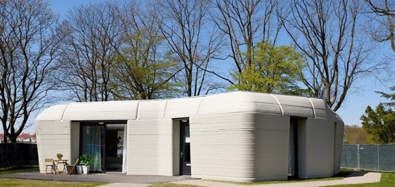 فيديو وصور: زوجان ينتقلان لأول منزل مطبوع ثلاثي الأبعاد بالكامل صورة رقم 5