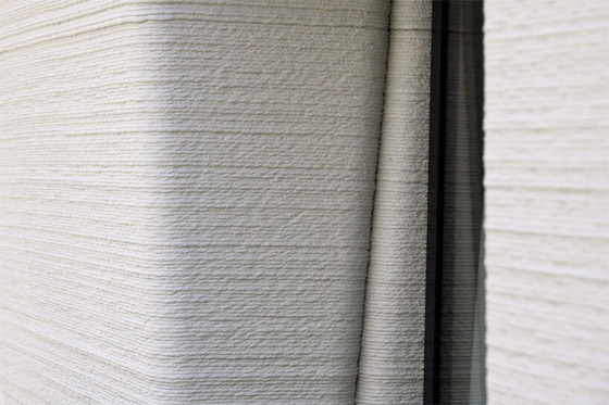 فيديو وصور: زوجان ينتقلان لأول منزل مطبوع ثلاثي الأبعاد بالكامل صورة رقم 21