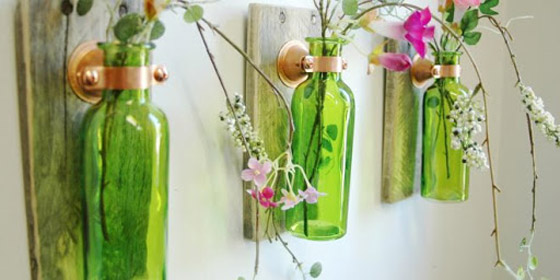 كيف تستخدم قشور البيض وبقايا القهوة في حديقتك؟ صورة رقم 2