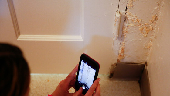 خبير يحذر من خطورة العفن على جدران البيوت صورة رقم 4