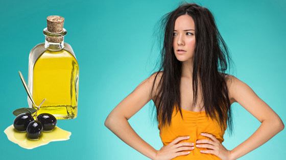 طريقة تحضير بلسم زيت الزيتون لعلاج جفاف الشعر بعد الصيام صورة رقم 2