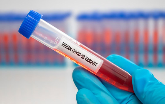 صراع من أجل البقاء.. لماذا يتحور فيروس كورونا؟ صورة رقم 4