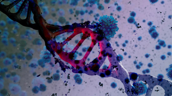 صراع من أجل البقاء.. لماذا يتحور فيروس كورونا؟ صورة رقم 7