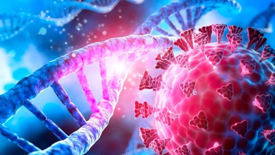 صراع من أجل البقاء.. لماذا يتحور فيروس كورونا؟ صورة رقم 8