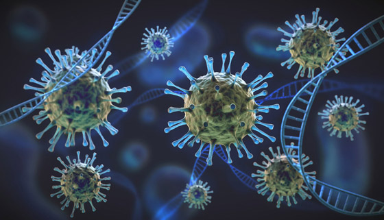 صراع من أجل البقاء.. لماذا يتحور فيروس كورونا؟ صورة رقم 9