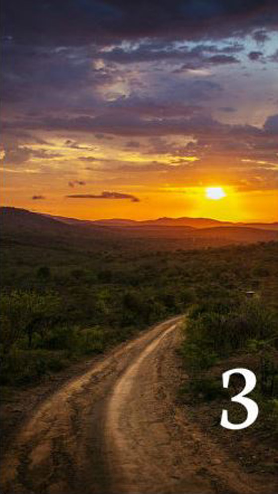 بواسطة اختيار صورة: اختبار شخصية يكشف طريق السعادة في الحياة صورة رقم 4