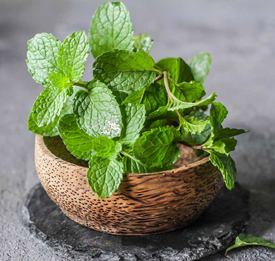 يمكن زراعتها في الحديقة.. 4 أعشاب تزيد الطاقة والتركيز بعيدا عن القهوة صورة رقم 3