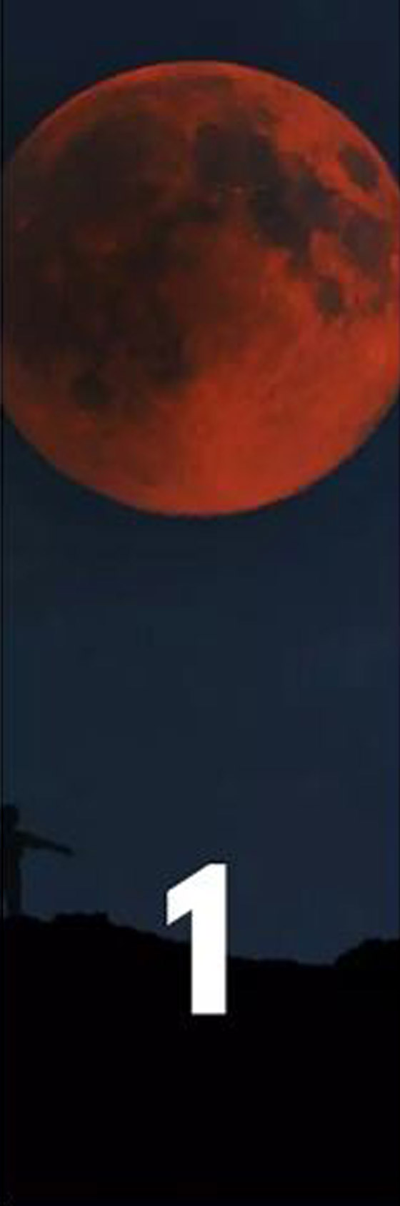 اختار صورة.. اختبار شخصية يكشف درجة العناد أمام الصعوبات صورة رقم 2