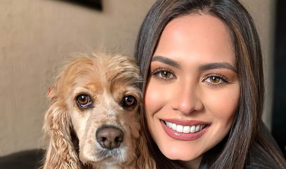 فستان ملكة جمال الكون بحفل فوزها مسروق من مصمم لبناني صورة رقم 6