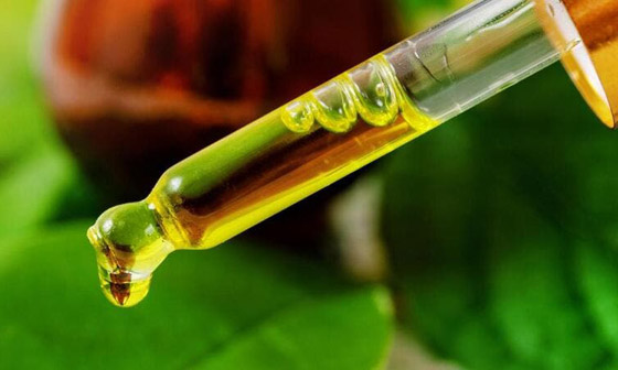 زيت شجرة الشاي للعناية بالشعر في الصيف صورة رقم 4