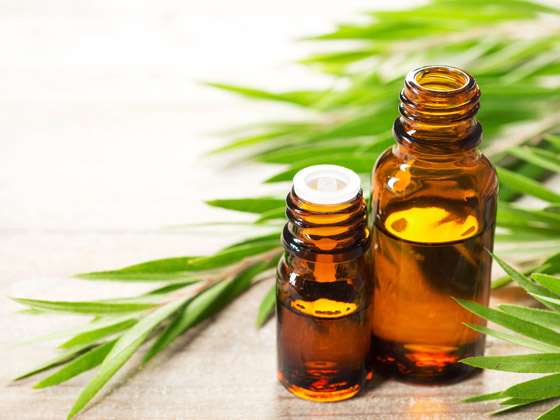 زيت شجرة الشاي للعناية بالشعر في الصيف صورة رقم 2