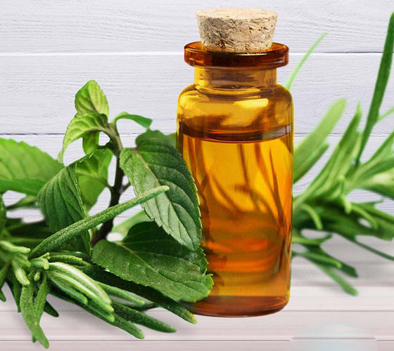 زيت شجرة الشاي للعناية بالشعر في الصيف صورة رقم 3