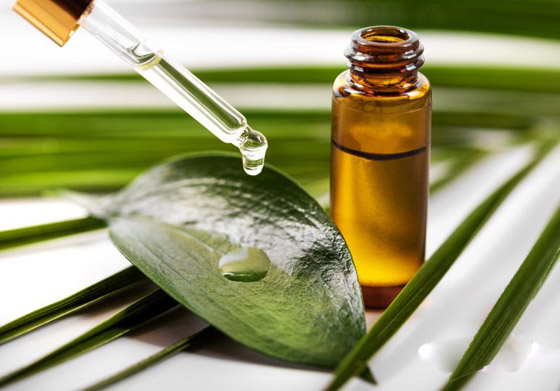 زيت شجرة الشاي للعناية بالشعر في الصيف صورة رقم 1