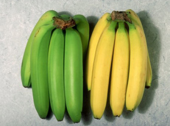 أي موز أكثر فائدة- الأصفر أم الأخضر؟ صورة رقم 2
