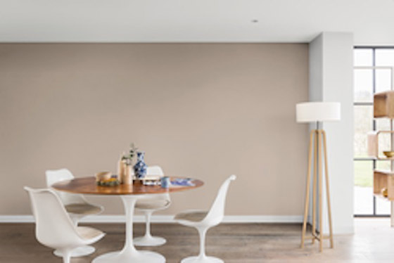 تعرف على ألوان الطلاء الأكثر شيوعاً في 2021 صورة رقم 3