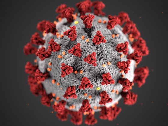 تعرفوا إلى 5 أوبئة وفيروسات شهيرة أرّقت العالم خلال العقد الماضي صورة رقم 5