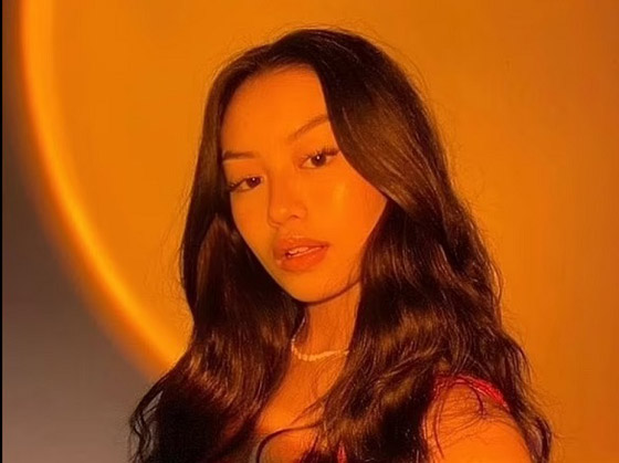 مصابيح منزلية تحاكي غروب الشمس صورة رقم 2