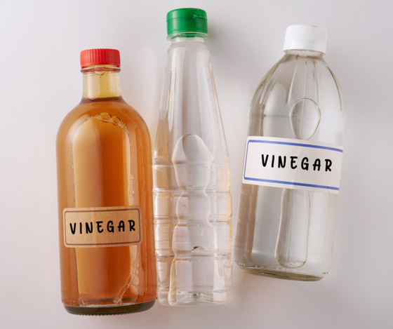 يُستخدم للقضاء على النمل والتنظيف.. 12 استخداما مذهلا وغريبا للخل صورة رقم 2