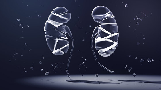 كيف يؤدي فشل الكلى المزمن إلى زيادة خطر الإصابة بأمراض القلب؟ صورة رقم 2