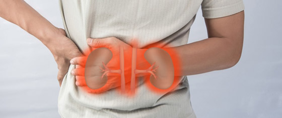 كيف يؤدي فشل الكلى المزمن إلى زيادة خطر الإصابة بأمراض القلب؟ صورة رقم 1