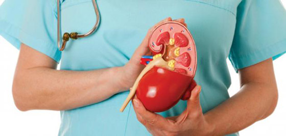 كيف يؤدي فشل الكلى المزمن إلى زيادة خطر الإصابة بأمراض القلب؟ صورة رقم 3