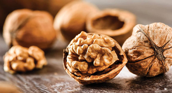 بشرى سارة: تناول مكسرات الجوز (عين الجمل) تحميك من أمراض القلب صورة رقم 3