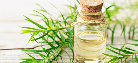 خلطات طبيعية لأظافرك المتعبة صورة رقم 4