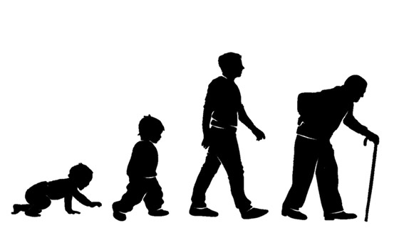 مكونات الشخصية في علم النفس ومراحل تطورها صورة رقم 4