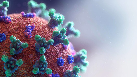 مناعة لسنوات.. بشرى سارة جدا عن لقاحي فايزر وموديرنا صورة رقم 2