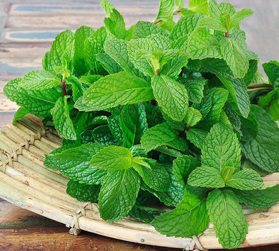 إليكم 14 من الأطعمة للحفاظ على برودة جسمكم خلال الصيف الحار صورة رقم 2