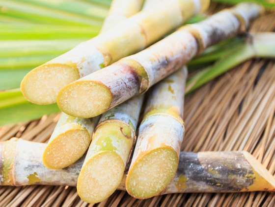 إليكم 14 من الأطعمة للحفاظ على برودة جسمكم خلال الصيف الحار صورة رقم 10