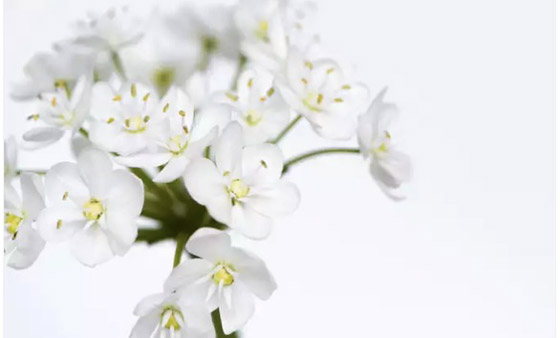 ما الذي يخبره لونك المفضل عن شخصيتك؟ صورة رقم 2 ما الذي يخبره لونك المفضل عن شخصيتك؟ صورة رقم 2