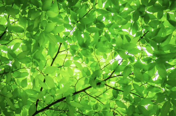 ما الذي يخبره لونك المفضل عن شخصيتك؟ صورة رقم 8 ما الذي يخبره لونك المفضل عن شخصيتك؟ صورة رقم 8