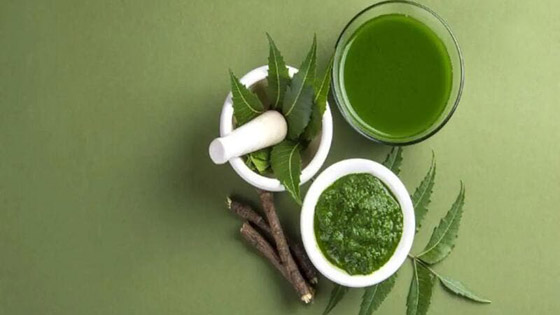  5 فوائد لا تصدق لفقدان الوزن من النيم صورة رقم 2