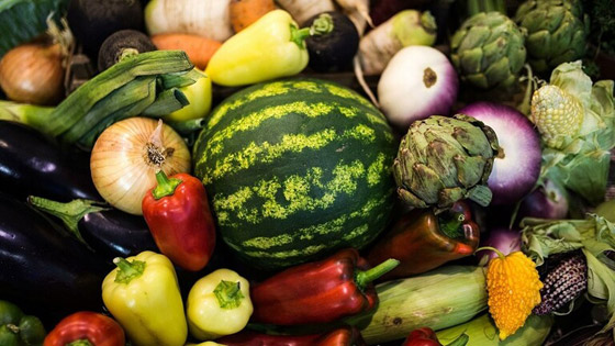 مواد غذائية لاستعادة صحة الكبد صورة رقم 1