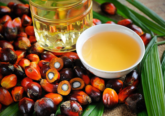 له فوائد لكن أضراره على البيئة خطيرة.. ما يجب معرفته عن زيت النخيل صورة رقم 6