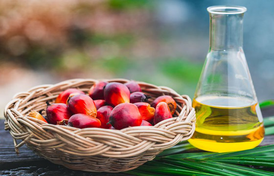 له فوائد لكن أضراره على البيئة خطيرة.. ما يجب معرفته عن زيت النخيل صورة رقم 5