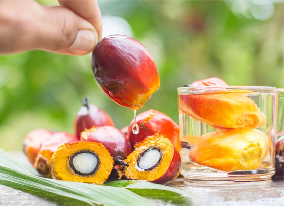 له فوائد لكن أضراره على البيئة خطيرة.. ما يجب معرفته عن زيت النخيل صورة رقم 1