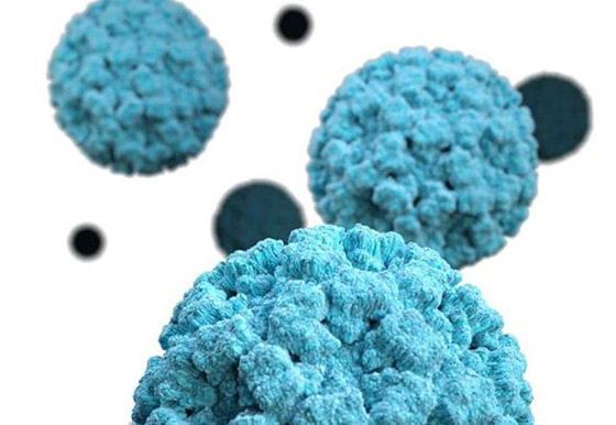 الآثار الجانبية لرفع قيود كورونا: تفشي فيروس جديد أشد عدوى! صورة رقم 3