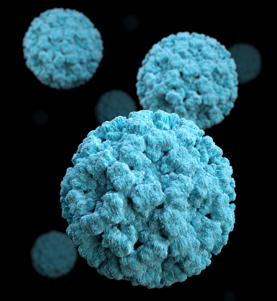 الآثار الجانبية لرفع قيود كورونا: تفشي فيروس جديد أشد عدوى! صورة رقم 1