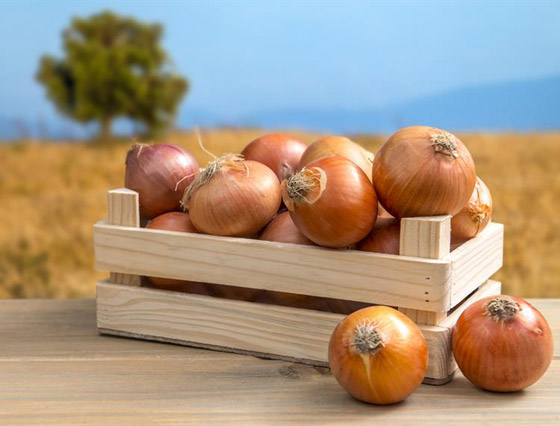 اضيفو البصل إلى نظامك الغذائي للحصول على هذه الفوائد صورة رقم 3