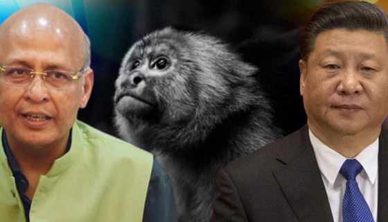 الصين تسجل أول وفاة بشرية بفيروس جدري القردة.. مرض نادر ولا لقاح له صورة رقم 6