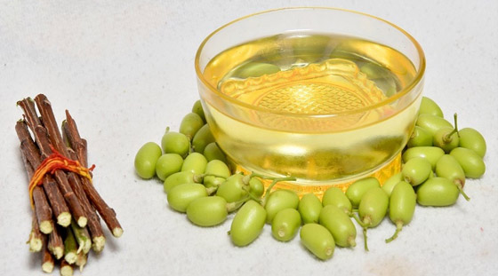 ما هو زيت ثمرة النيم؟ وكيف يساعد في العناية بالبشرة؟ صورة رقم 3