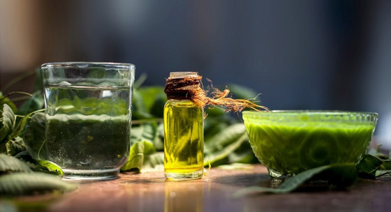 ما هو زيت ثمرة النيم؟ وكيف يساعد في العناية بالبشرة؟ صورة رقم 4