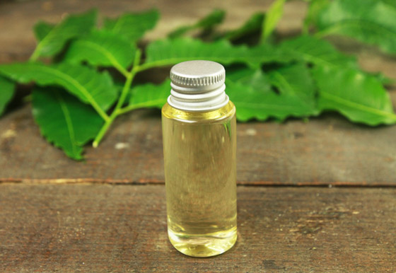 ما هو زيت ثمرة النيم؟ وكيف يساعد في العناية بالبشرة؟ صورة رقم 5