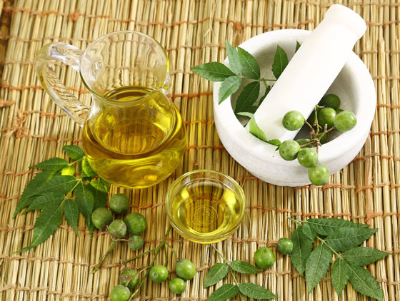 ما هو زيت ثمرة النيم؟ وكيف يساعد في العناية بالبشرة؟ صورة رقم 7