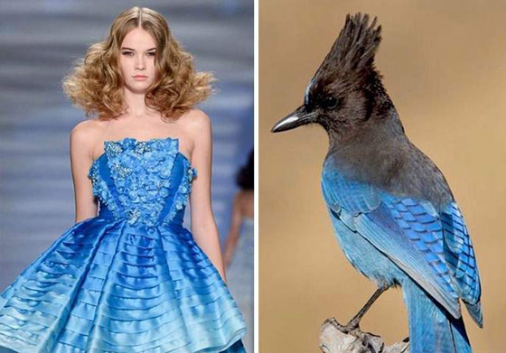 بالصور: إليكم أروع وأغرب صيحات الموضة المستلهمة من الطبيعة صورة رقم 9